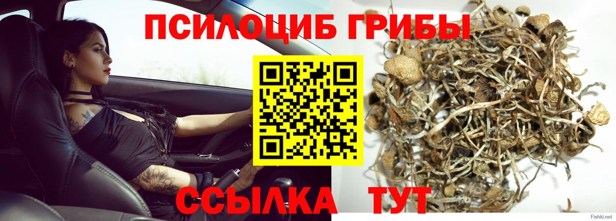 Кострома  Псилоцибиновые грибы Cubensis  Вход с VPN 
